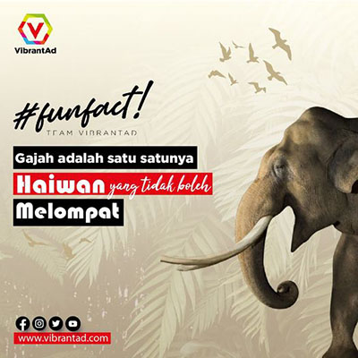 Haiwan yang tidak boleh melompat